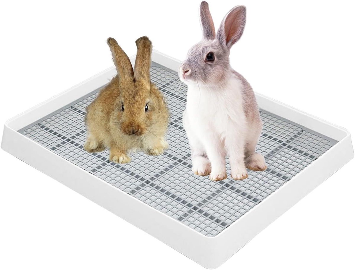 Huisdier Toilet - Konijnenbak Caviabak - Zindelijk Trainen - Dubbele Laag Ontwerp - XL 38x30cm - Wit