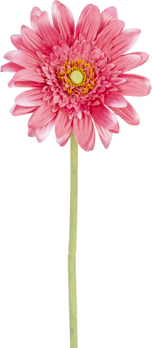 Easyplants | Kunstbloem Gerbera 55 cm roze | Zijde | Nepbloemen | roze | Onderhoudsvrij | Kant-en-klaar