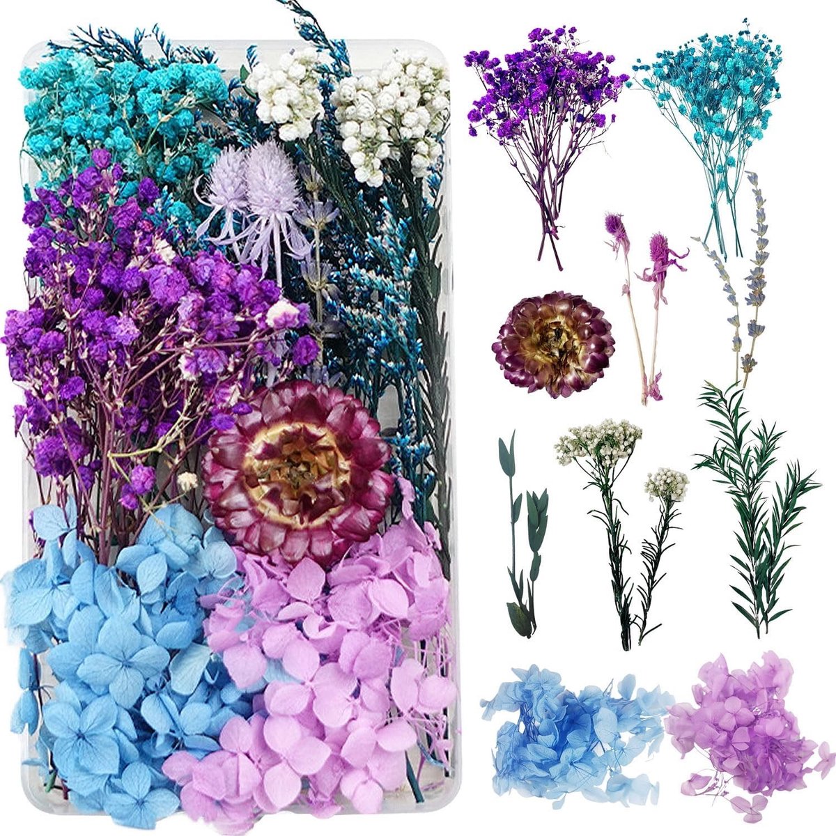 Drogen Bloemen voor Hars, Natuurlijke Bloemen voor Ambachten, Sieraden, Kaarsen en Decoratie (Blauw en Paars)