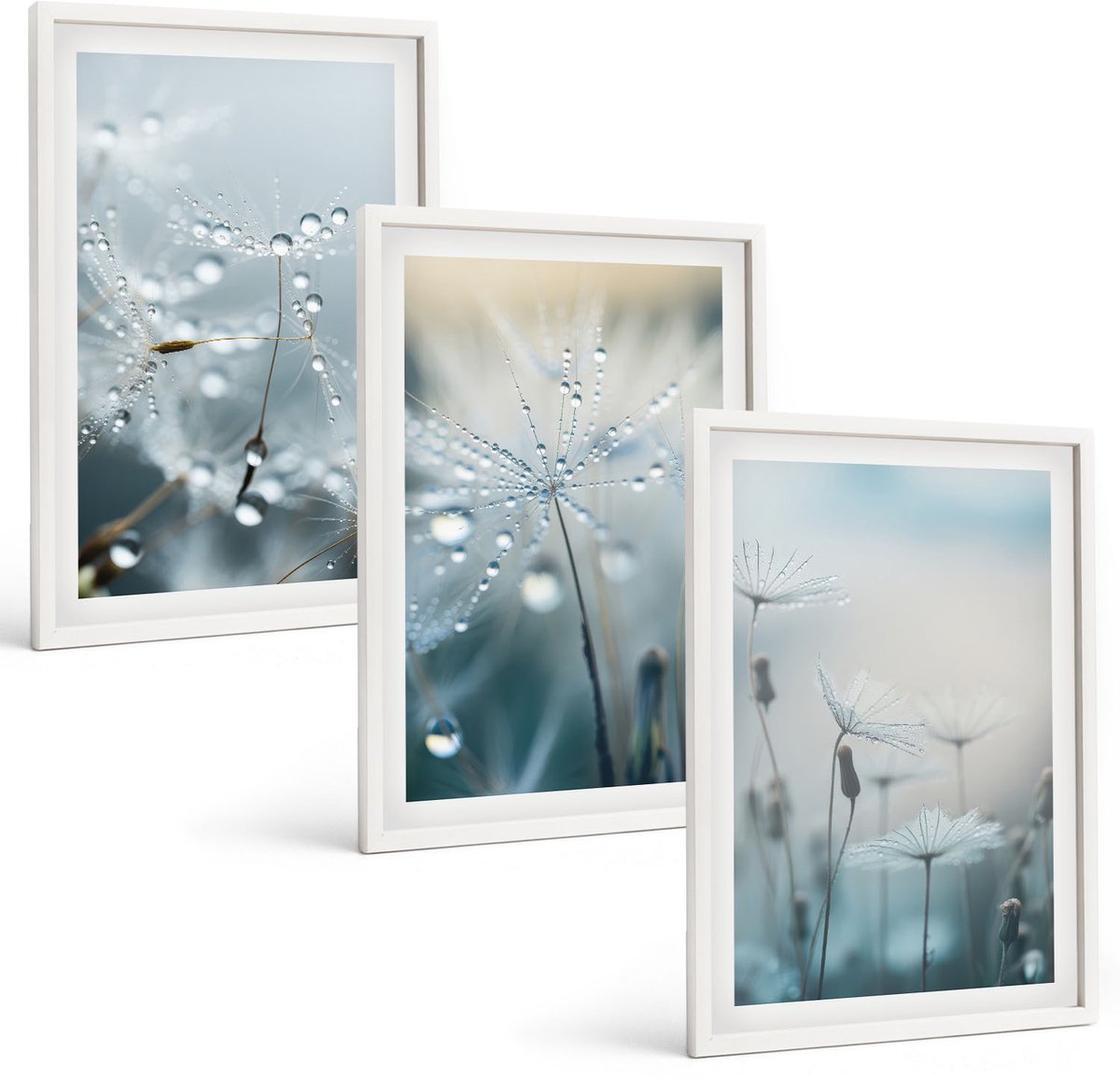 Wallfluent 3-Delige Schilderij Set - Dauwdruppels Op Tere Paardenbloemen - 40 x 60 - Stijlvolle Wanddecoratie - Interieur - Moderne Wanddecoratie