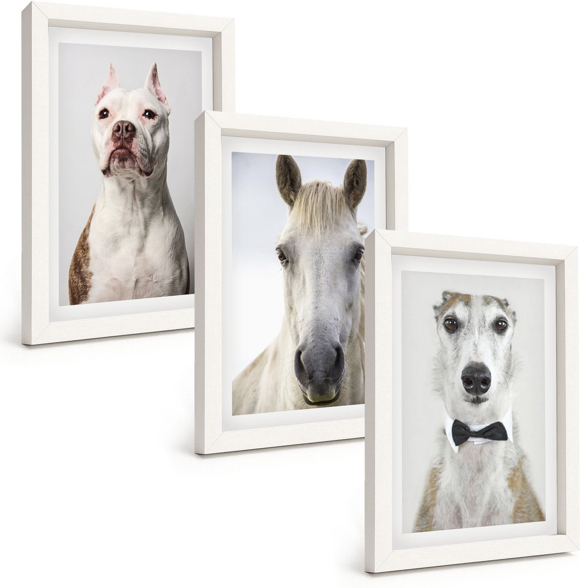 Wallfluent 3-Delige Schilderij Set - Interessante Portretten Van Honden En Paarden In Een Elegante Stijl. - 20 x 30 - Moderne Wanddecoratie - Slaapkamer - Woonkamer Decoratie
