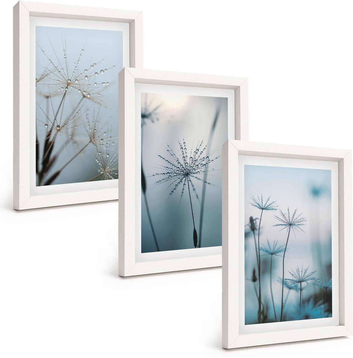 Wallfluent 3-Delige Schilderij Set - Fijne Paardenbloemen Met Waterdruppels - 20 x 30 - Muurdecoratie - Wanddecoratie - Hal - Stijlvolle Muurdecoratie