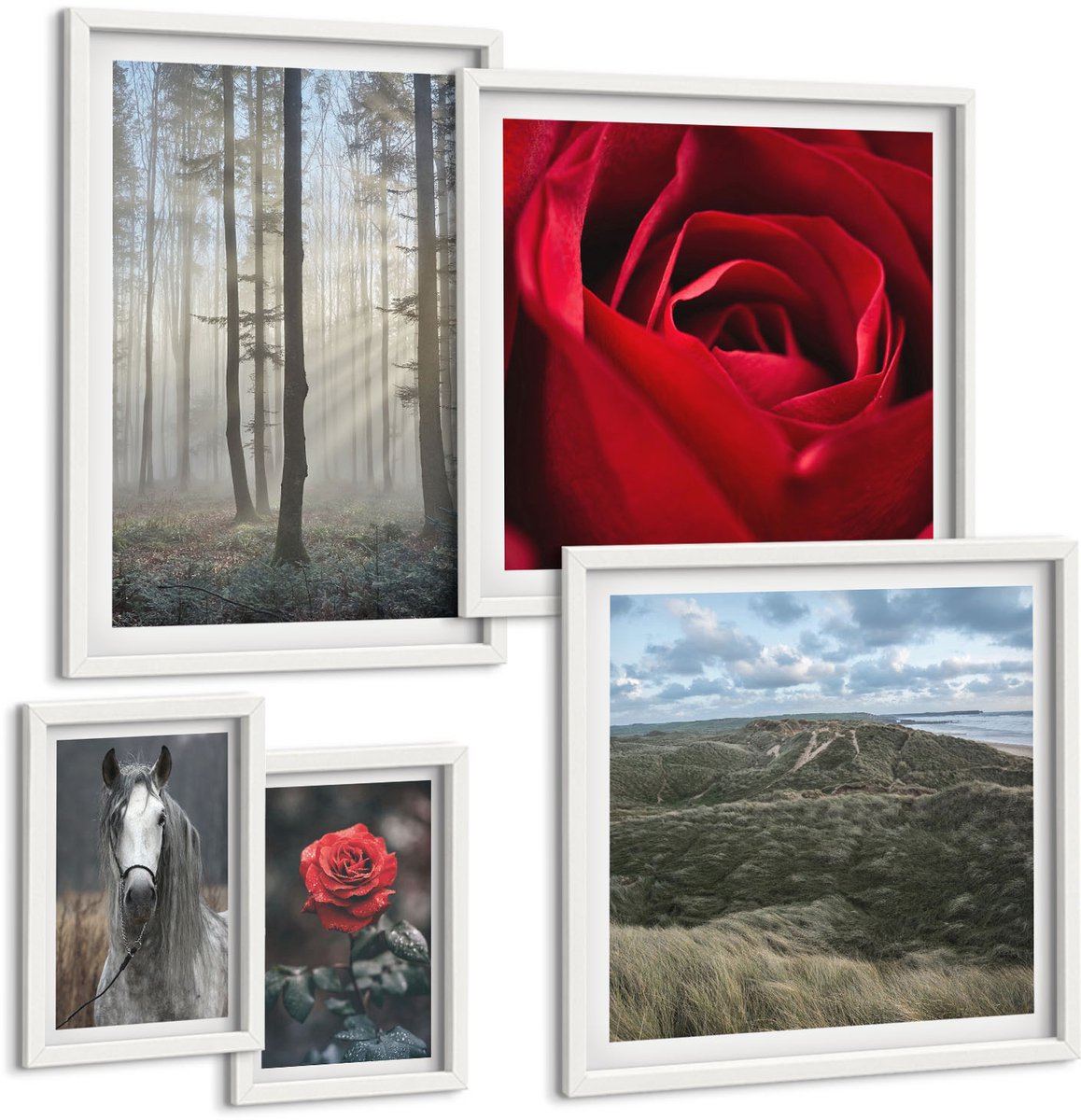 Wallfluent 5-Delige Schilderij Set - Natuur En Bloemen In Diverse Opnames En Stijlen. - 50 x 50 cm, 20 x 30 cm En 40 x 60 cm - Stijlvolle Wanddecoratie - Interieur - Stijlvolle Muurdecoratie