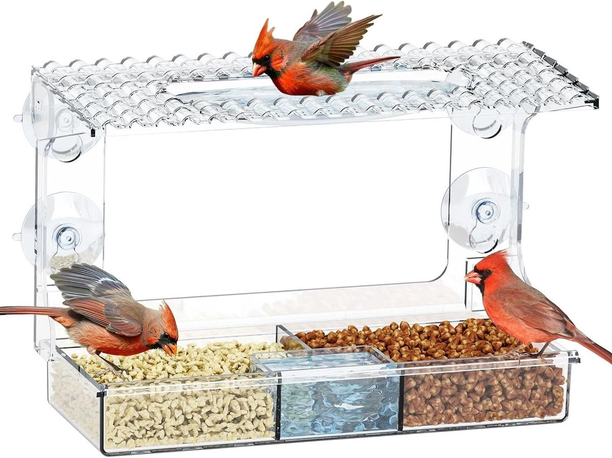 Vogelvoederstation Raam - Vogelhuisje Voederbak - Vogels Observeren - 2-in-1 Voer en Drink - 25x16.7x10 cm - Transparant