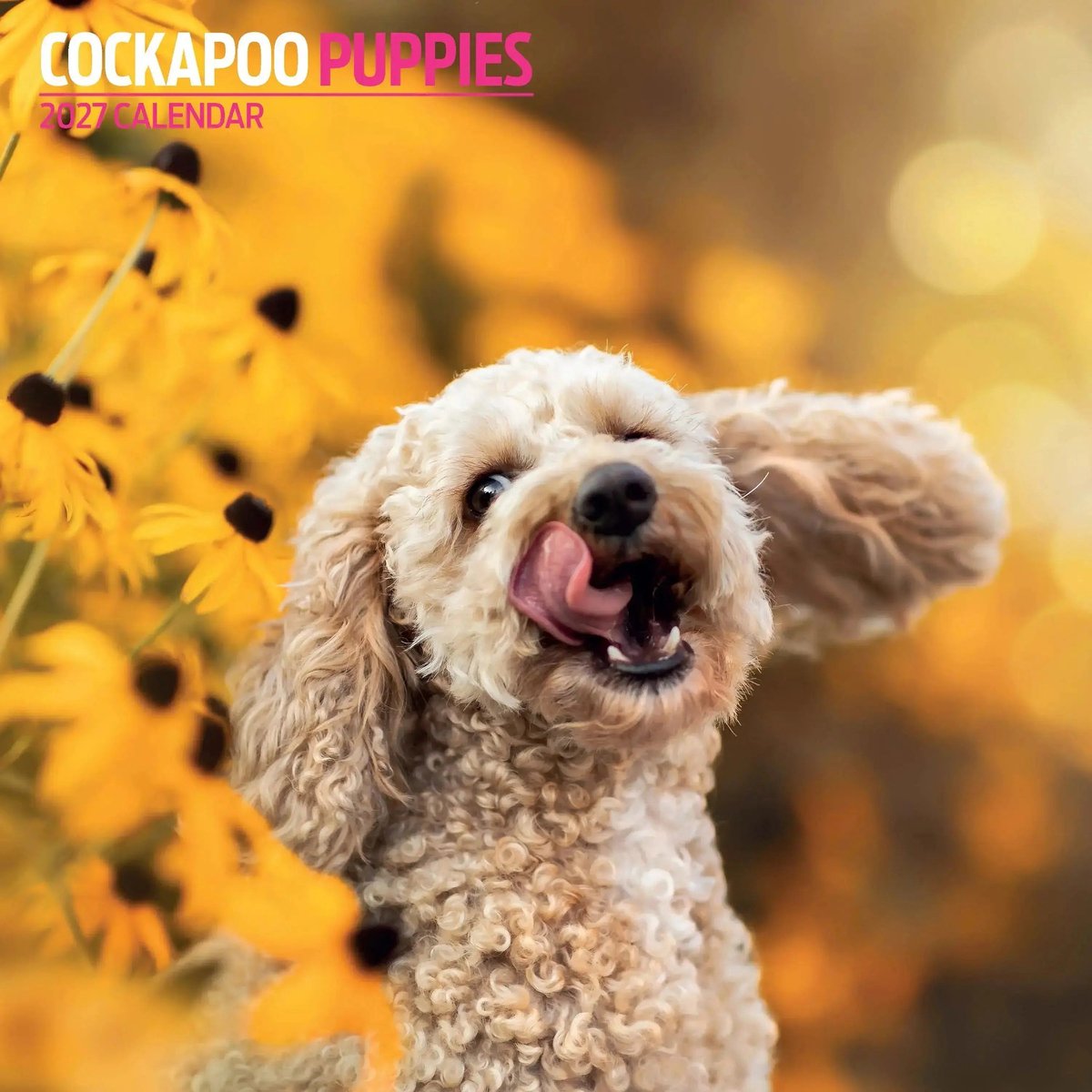 Cockapoo Puppies Kalender 2027