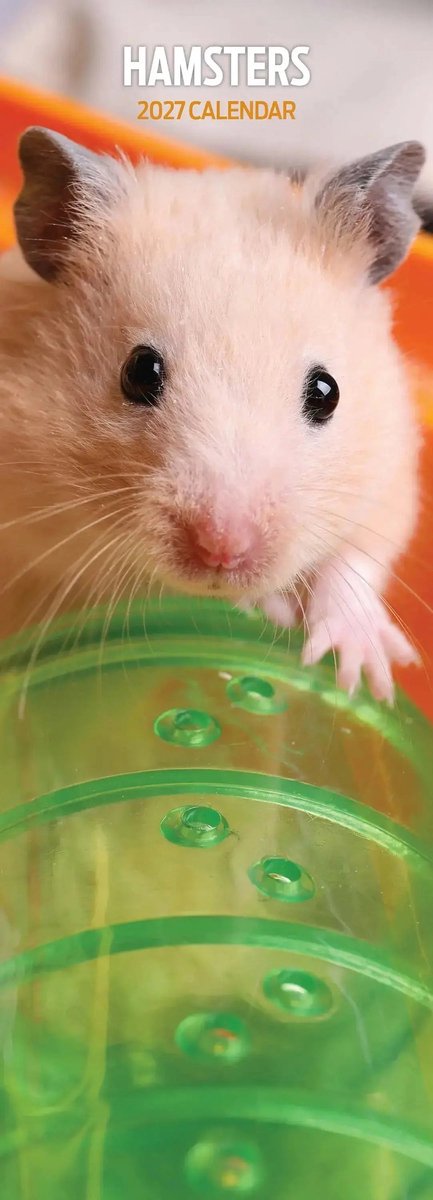 Hamster Kalender 2027 Slimline
