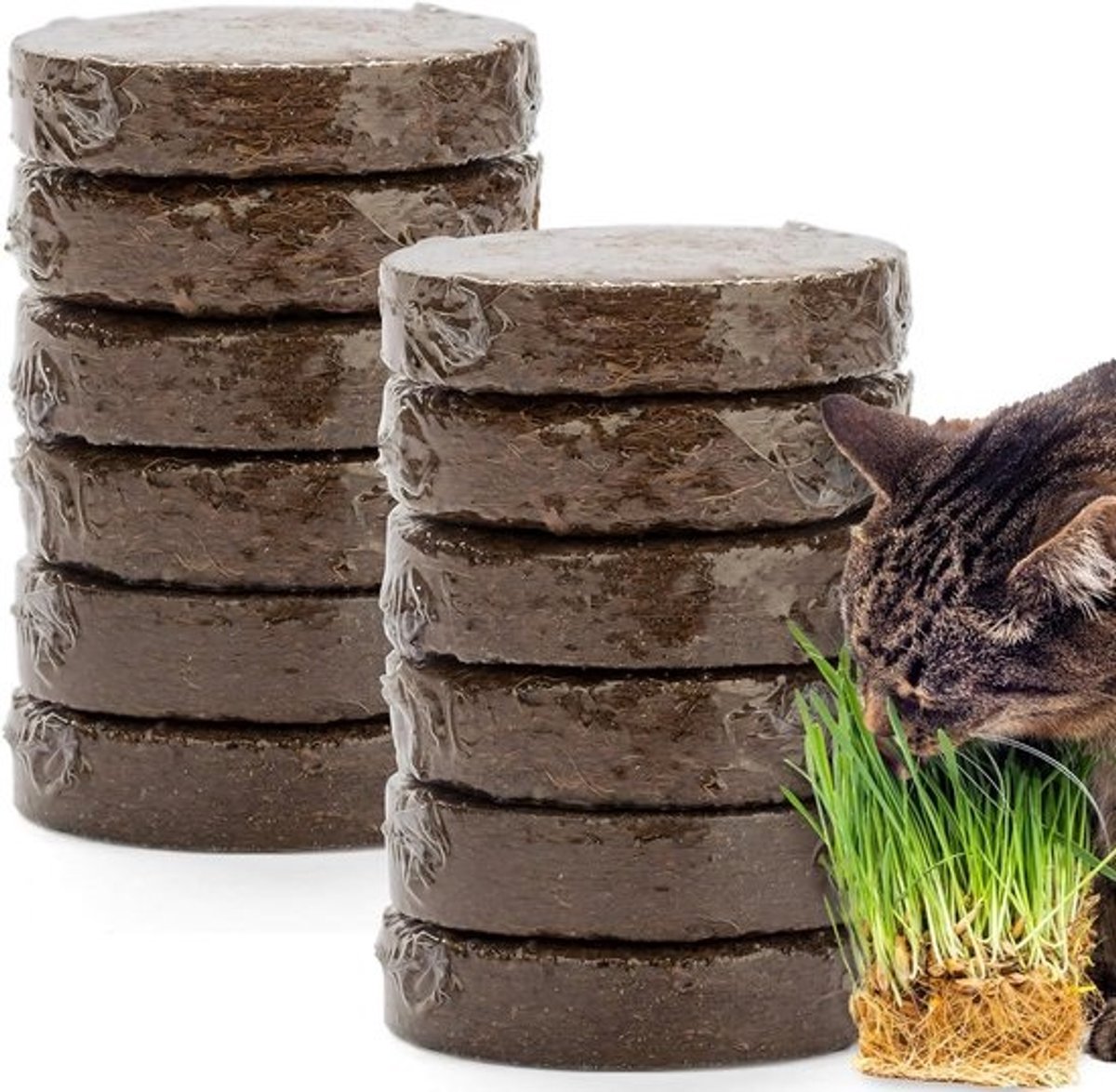 Biologische Kokos Aarde 100% - 12 Pack voor Planten