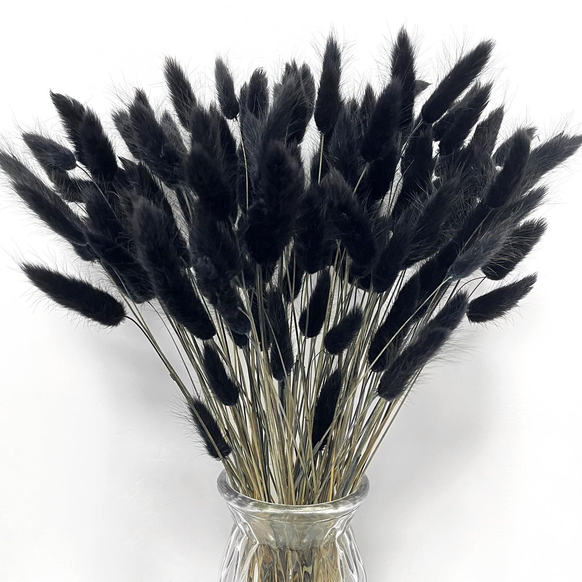 Famanu – Set van 120 gedroogde konijnenstaarten bloemen, zwart pampasgras decoratie voor bloemstukken, boho bruiloften en tuindecoratie