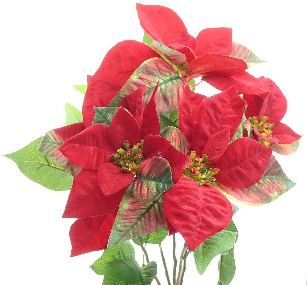 Gasper Kerstster Poinsettiastruik Rood 45 cm