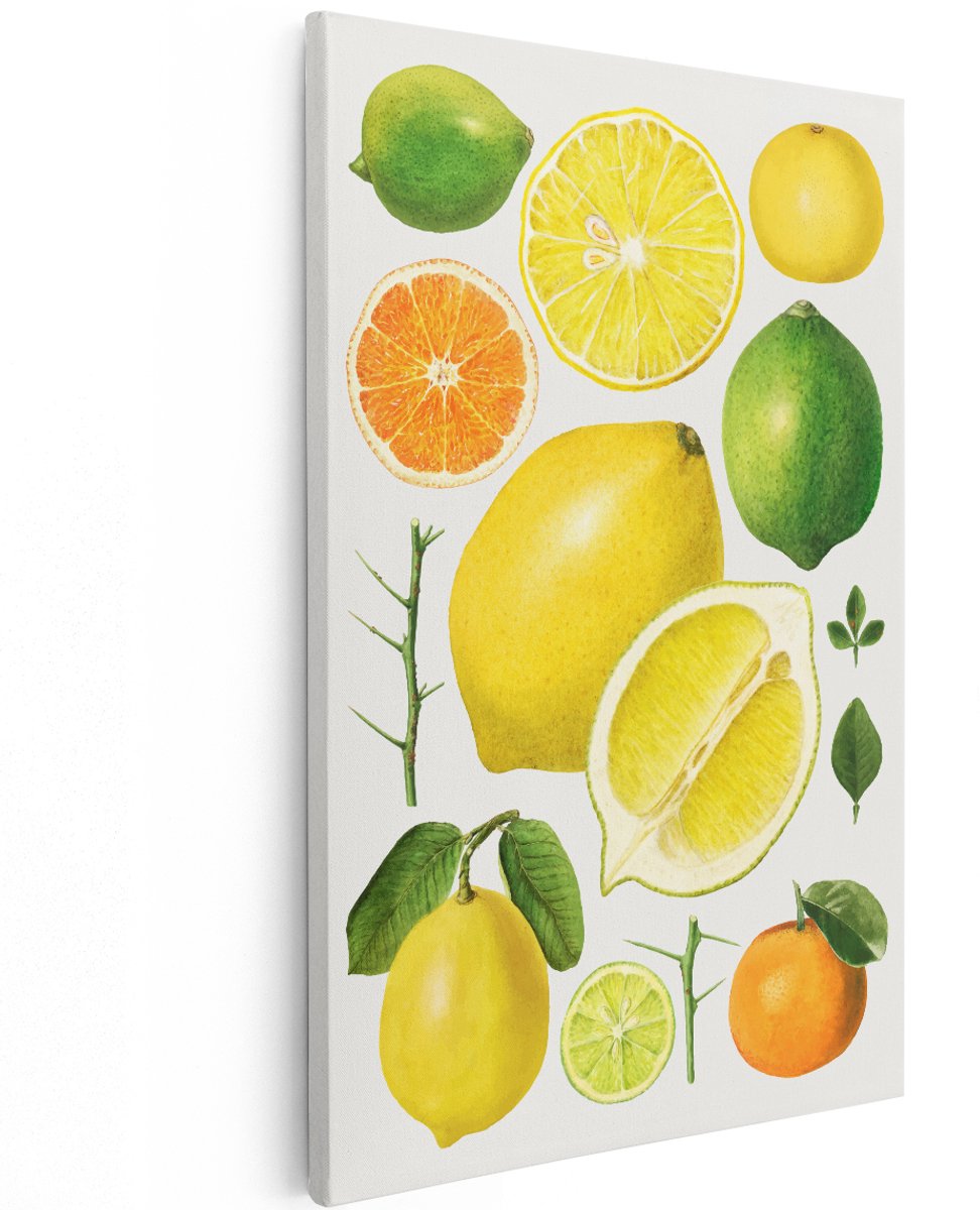 Artaza Canvas Schilderij Citrusvruchten - 120x180 cm - Groot - Wanddecoratie Keuken - Muurdecoratie Vintage - Decoratie Fruit Illustratie - Geel