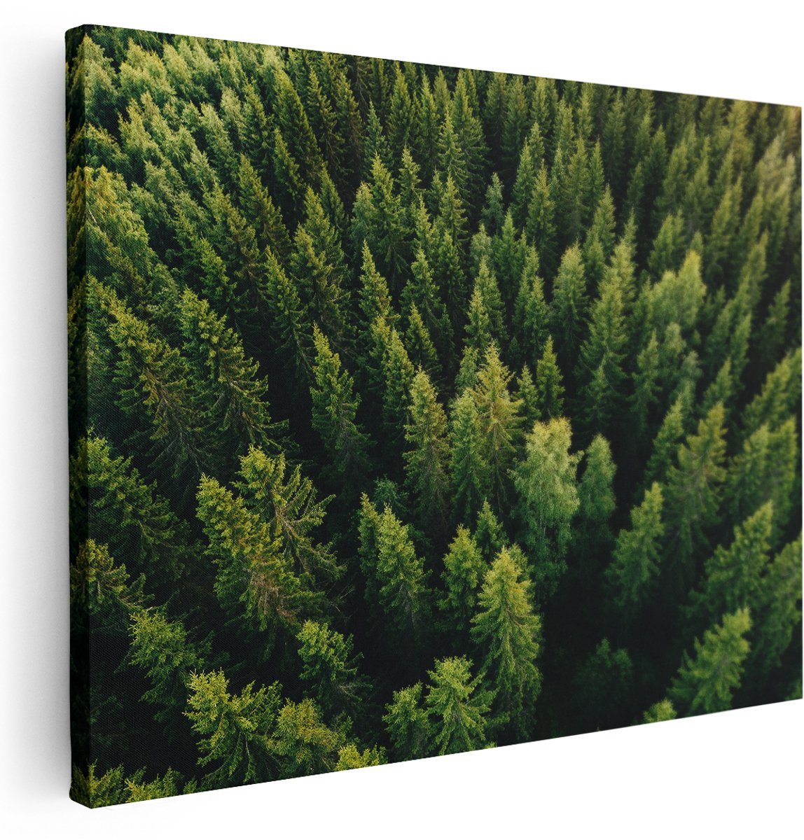 Artaza Canvas Schilderij Bos Met Bomen Vanaf Boven - 160x120 cm - Groot - Wanddecoratie Woonkamer - Schilderijen - Muurdecoratie