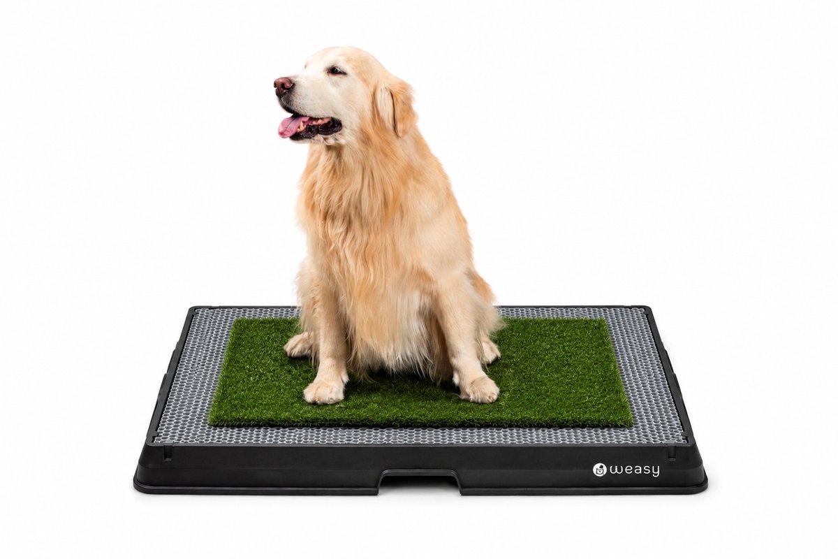 Weasy – Slim potje voor honden – Zwart – Groot – Met Weasy Bag en synthetische grasmat
