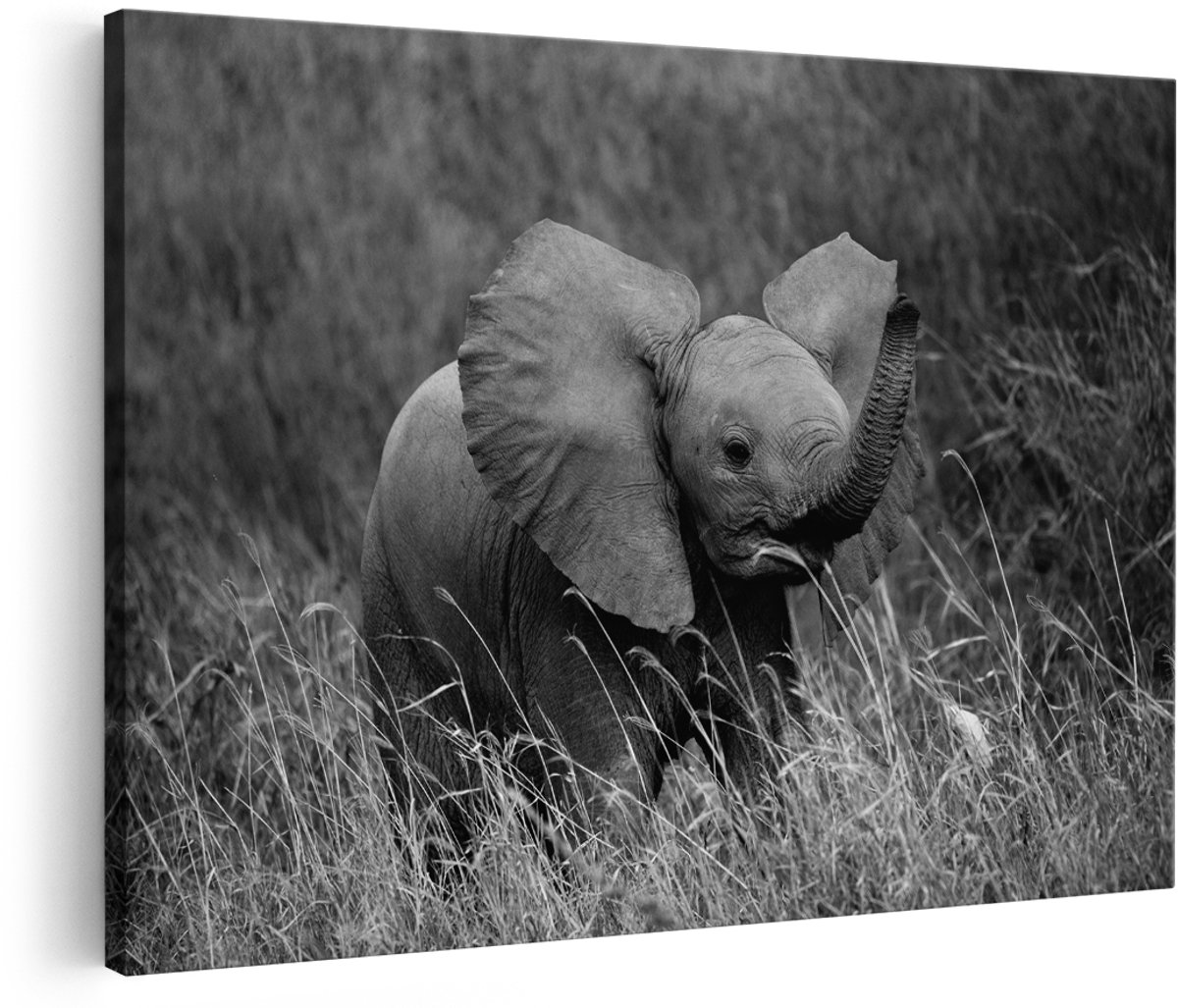 Artaza Canvas Schilderij Olifanten Baby in het Gras - Olifant - Zwart Wit - 150x100 cm - Groot - Foto Op Canvas - Wanddecoratie