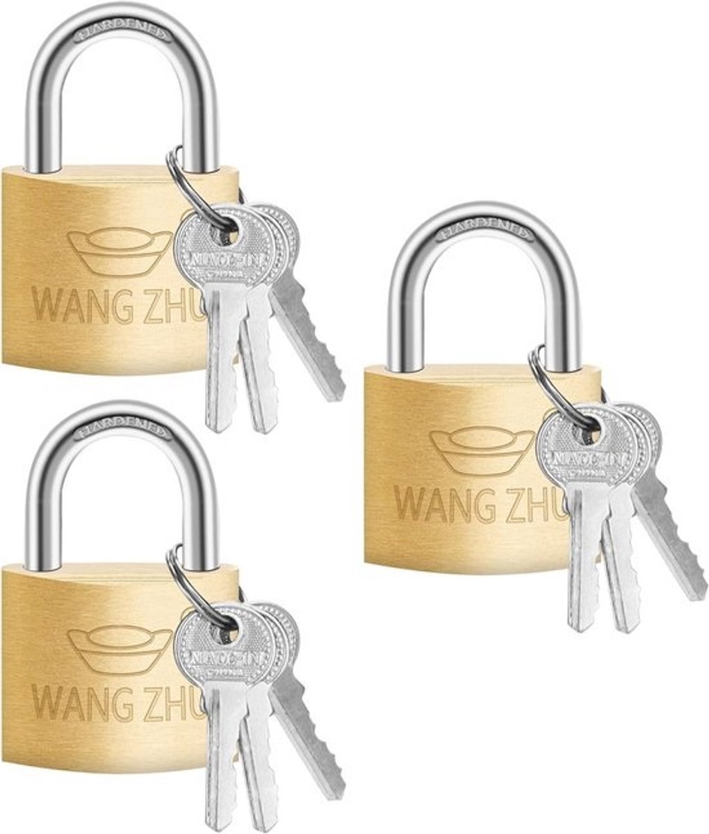 Set van 3 Kleine Hangsloten met 9 Sleutels voor Koffers, Kasten en Fietsen