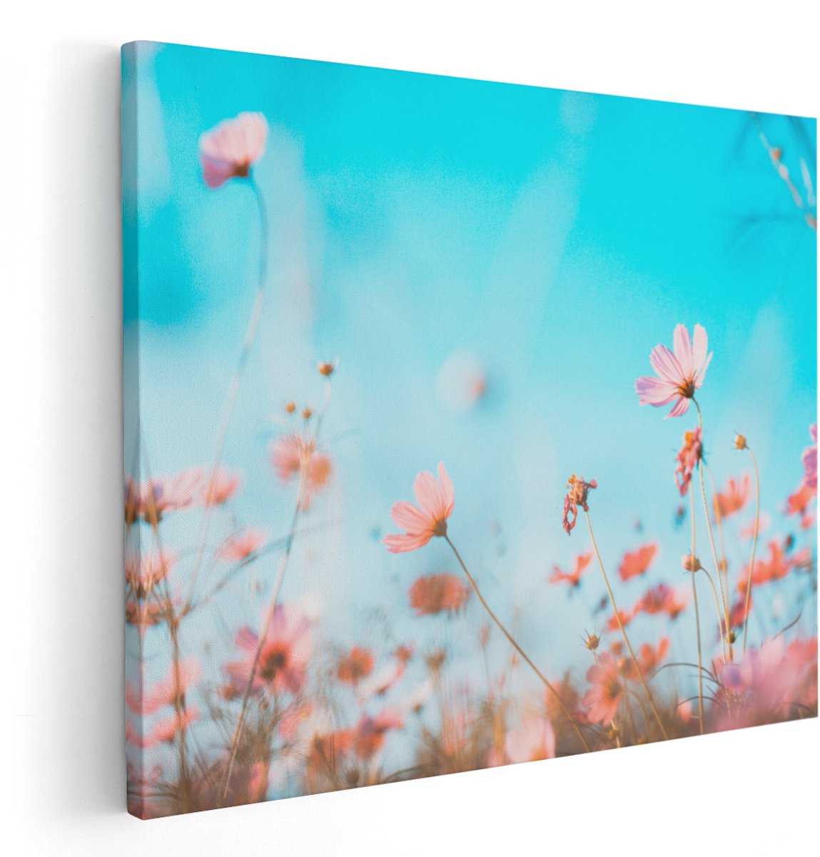 Artaza Canvas Schilderij Paarse Kosmos Bloemen - 150x120 cm - Groot - Wanddecoratie Woonkamer - Schilderijen - Muurdecoratie