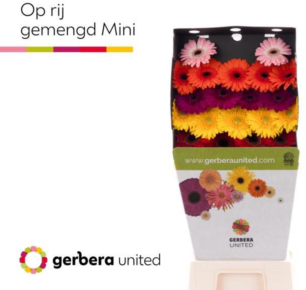25x Germ.mix var.op rij 70cm