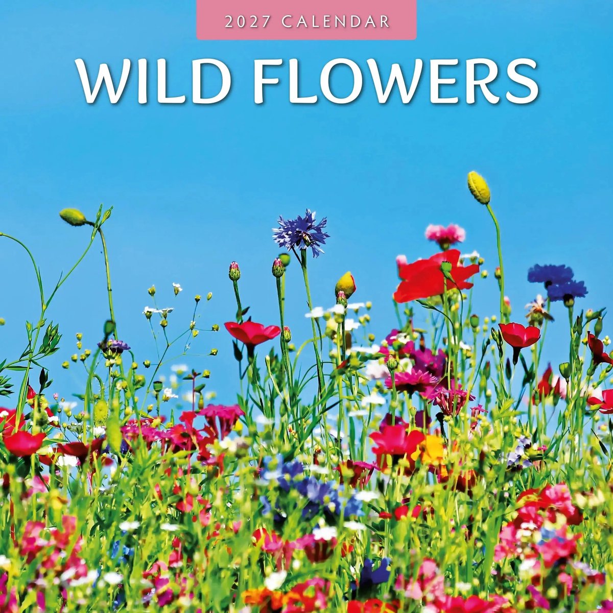 Wilde Bloemen Kalender 2027