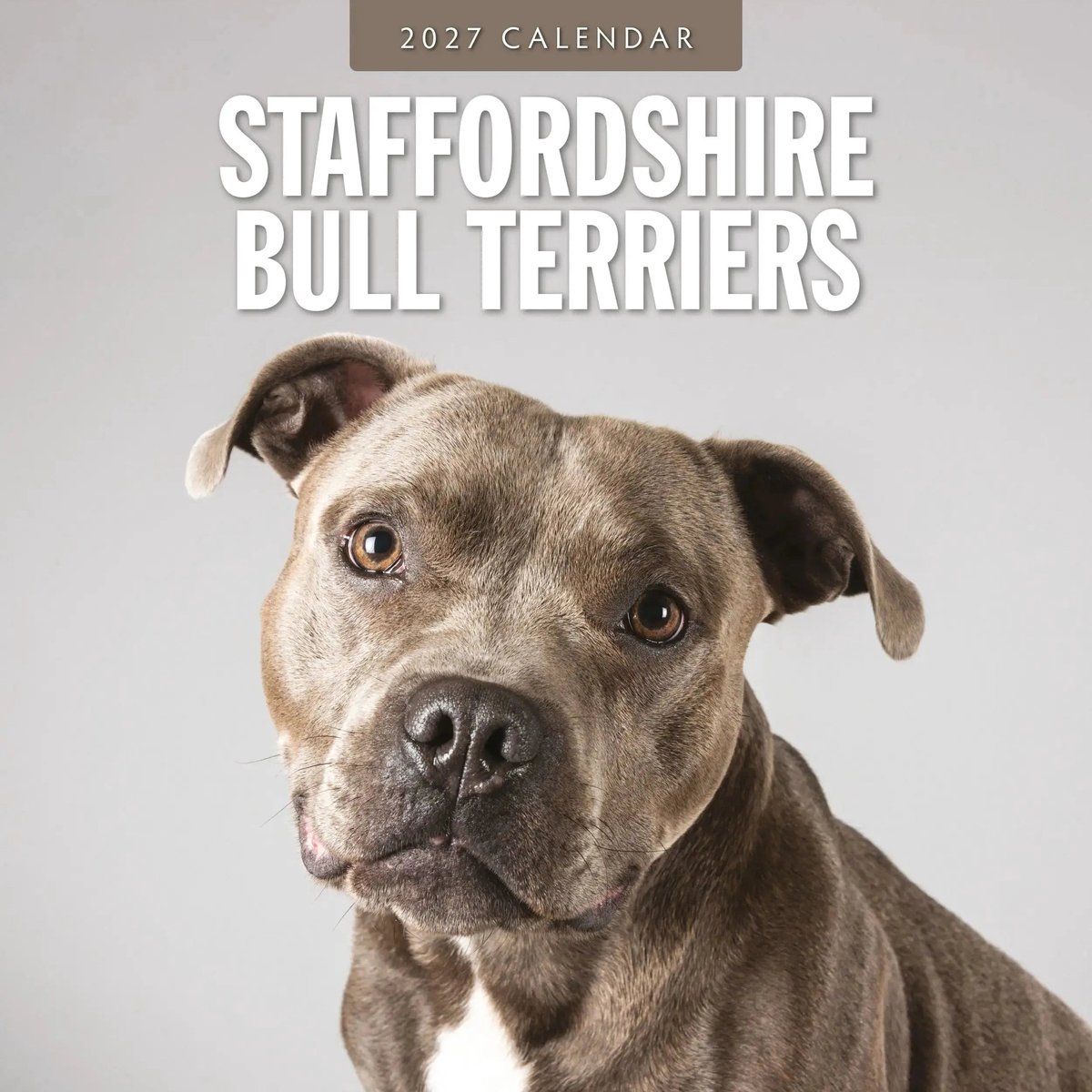 Staffordshire Bull Terrier Kalender 2027