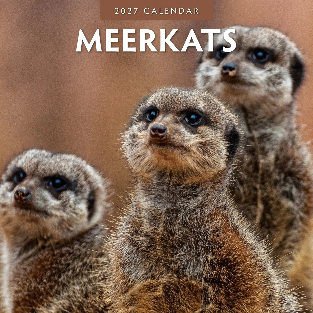 Stokstaartjes Kalender 2027