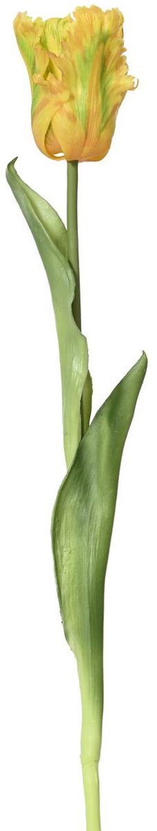 Everlands Papegaaitulp Geel & Groen Ø 6 cm 51 cm - Kunstbloemen