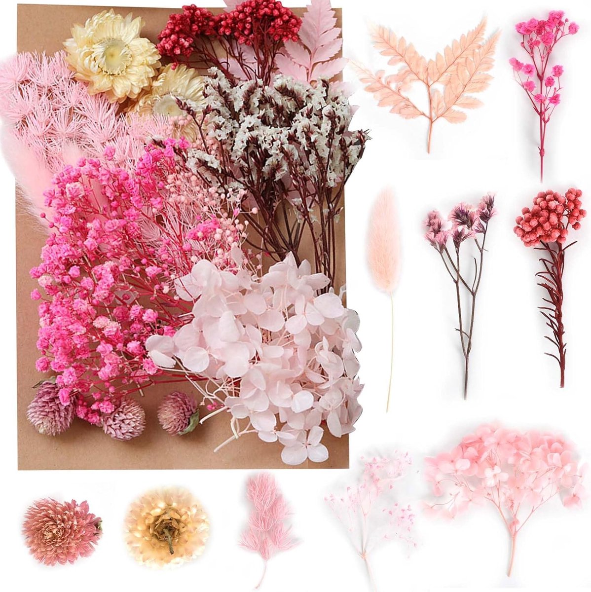 SnelShoppen - Decoratieve Gedroogde Bloemen Set voor Kaarsen, DIY Craft en Aromatherapie - Meer dan 10 Soorten en Kleuren Natuurlijke Gedroogde Bloeme