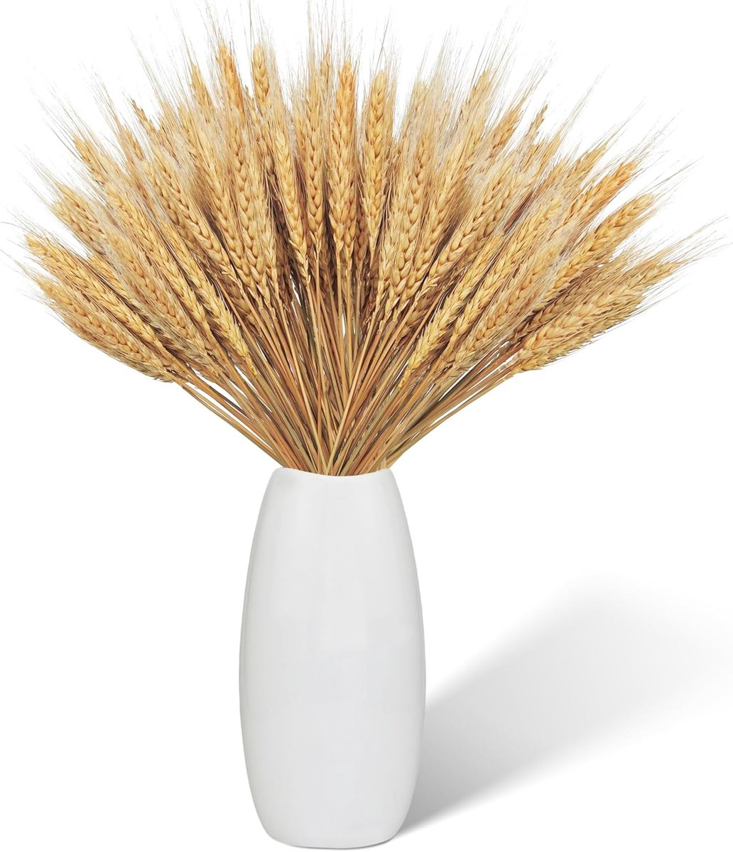 SnelShoppen - 100 Stuks Gedroogde Tarwe Bloemen 43cm - Natuurlijke Tarwegras Decoraties voor Feest, Tuin en Huis
