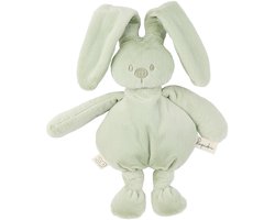 Nattou Lapidou Knuffel konijn - 30 cm - Zachte baby knuffel - Baby cadeau - Lindengroen