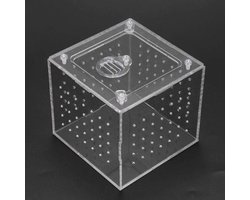 Acryl Terrarium voor Reptielen, Transparant Kijkkastje voor Spinnen Sprinkhanen Slakken Heremietkreeften, Tarantula's