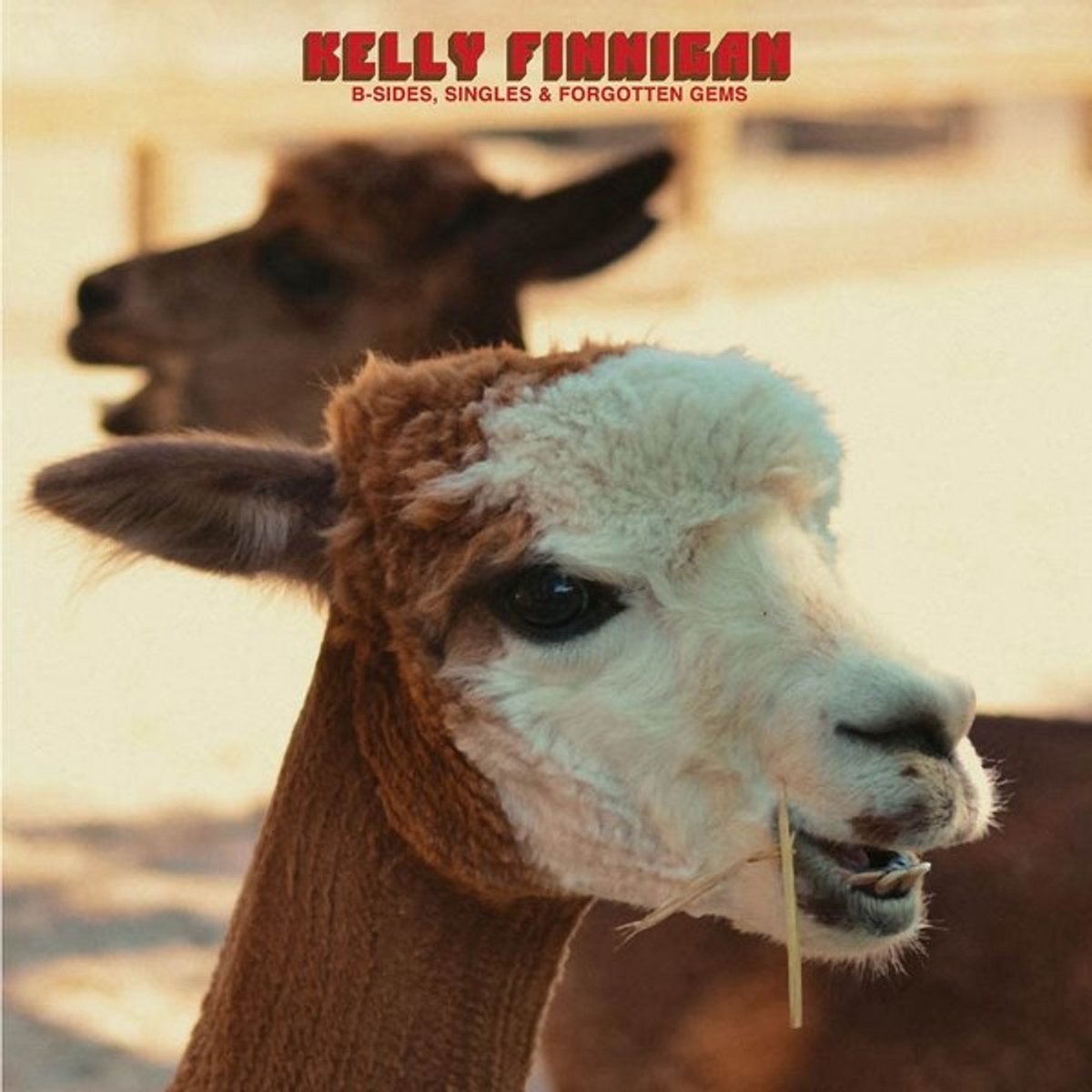 Kelly Finnigan - B-Sides, Singles & Forgotten Gems (MC)