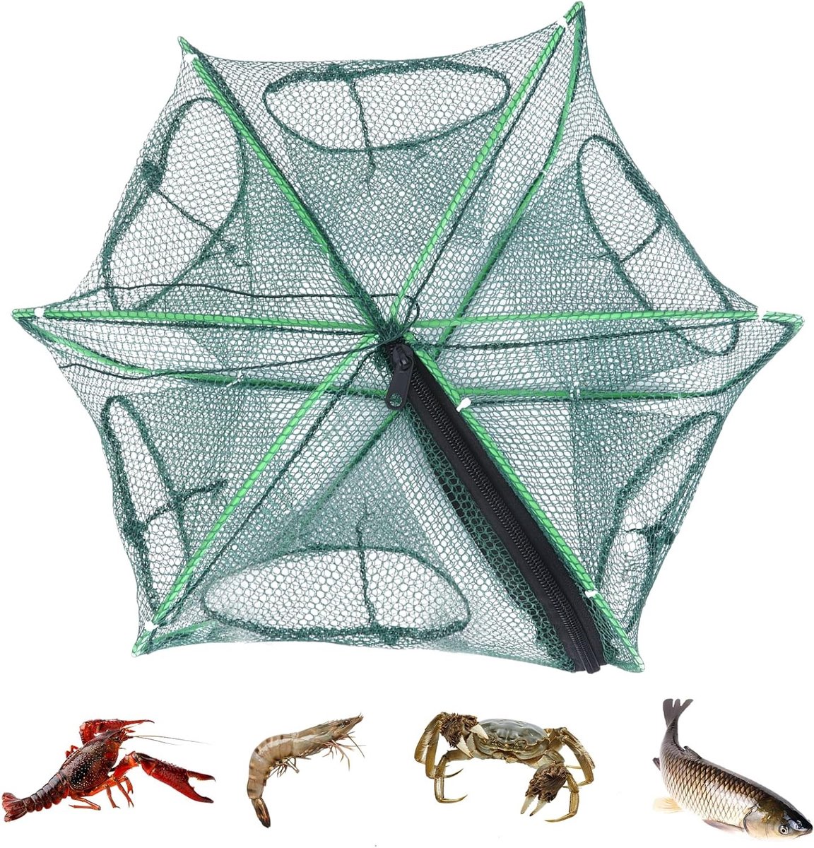 Viskorf Met 6 Gaten - Opvouwbaar Visnet - Garnalen Krabben Vangen - Eenvoudig Openen Sluiten - Diameter 40 cm - Donkergroen