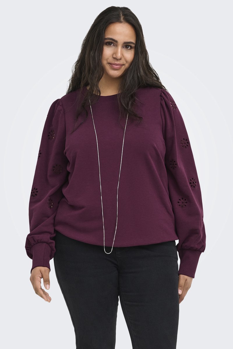 ONLY sweater Femme broderie mouw