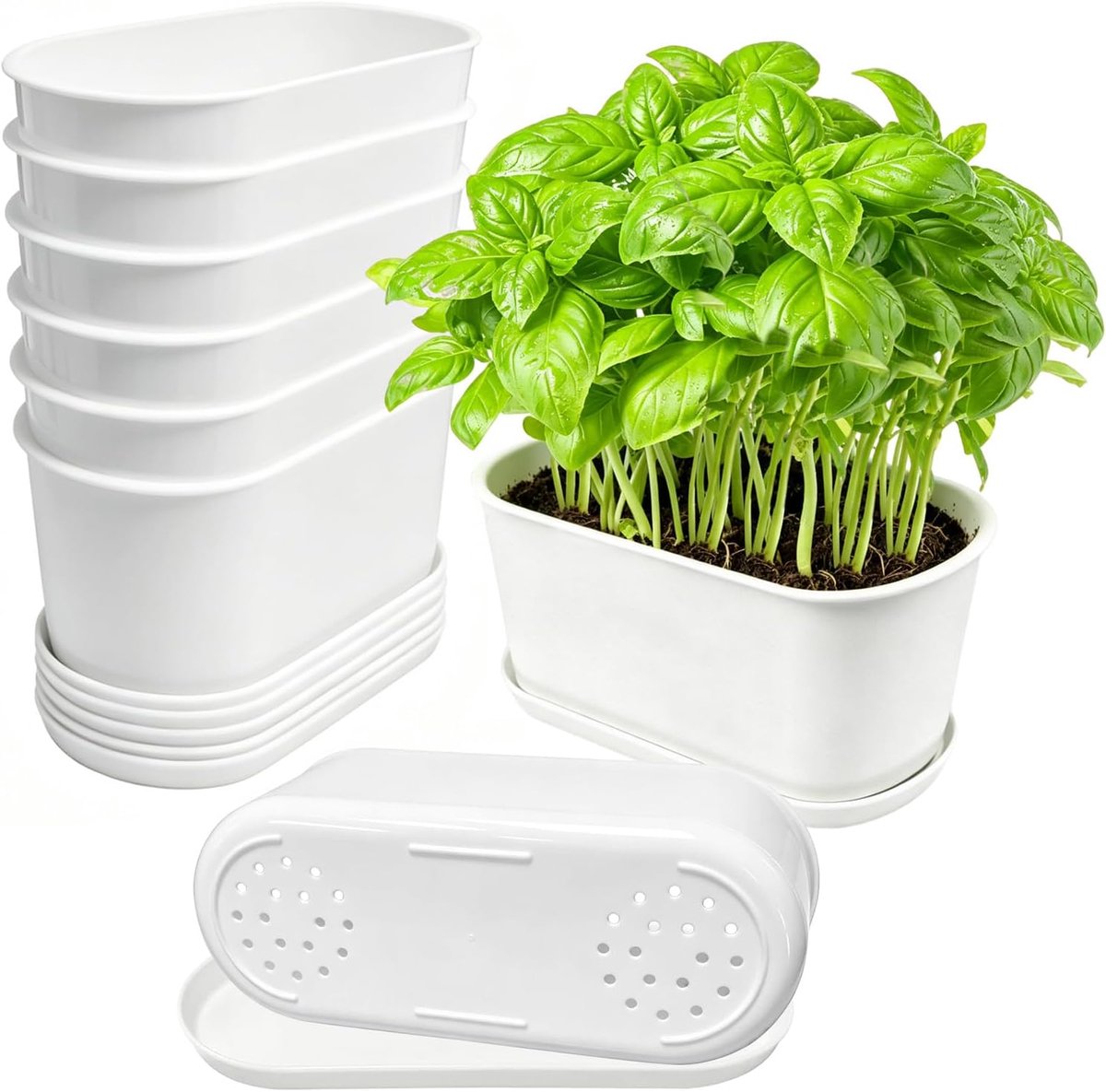 SnelShoppen - Pack van 10 Bloempotten met Coaster, Bonsai Pot voor Cactus, Succulenten, Bloemen en Kruiden, 22x9x8.5 cm, Duurzaam en Lichtgewicht