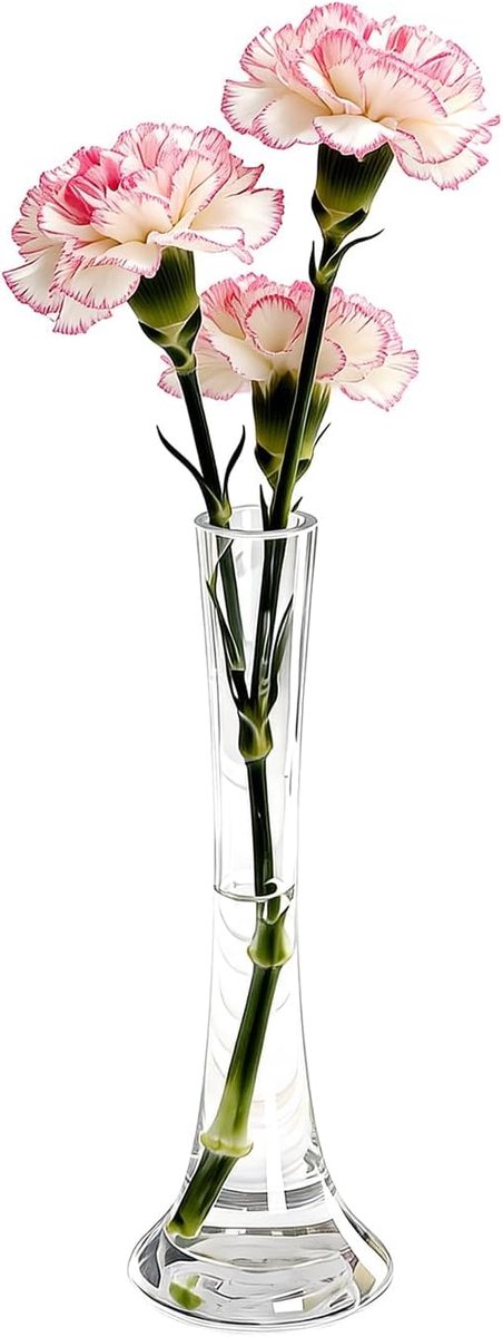 SnelShoppen - 25CM/10 Inch Hoge Heldere Handgeblazen Glazen Bud Vaasje met Smalle Nek voor Enkele Steel Bloemen - Decoratieve Bloemenvaas voor Bruilof
