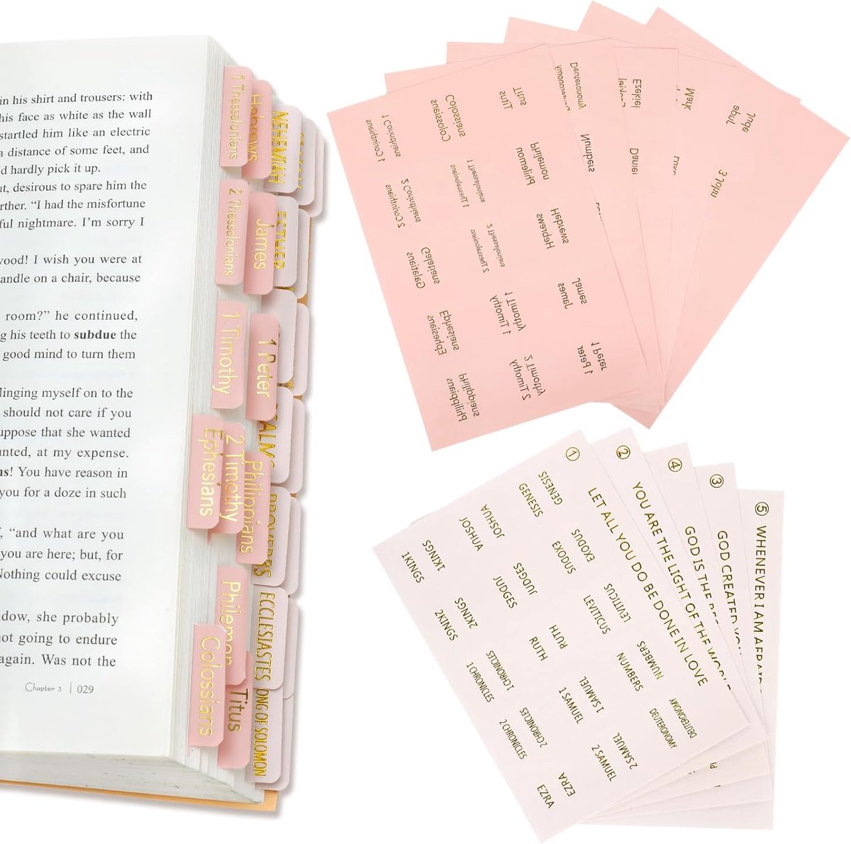 SnelShoppen - 165 Pcs Gelamineerde Bijbel Tabs, Grote Druk Stickers, Eenvoudig Toepasbaar, Bijbel Tabs met Lege Tabs voor Mannen Vrouwen Oud en Nieuw