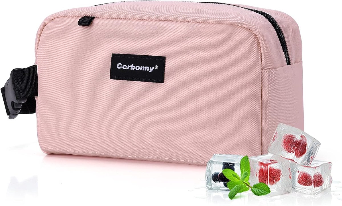 SnelShoppen - Kleine koeltas vriesbare lunchtas voor werk, school, reizen, geïsoleerde mini-lunchtas voor kinderen en volwassenen, lunchzakken in de v