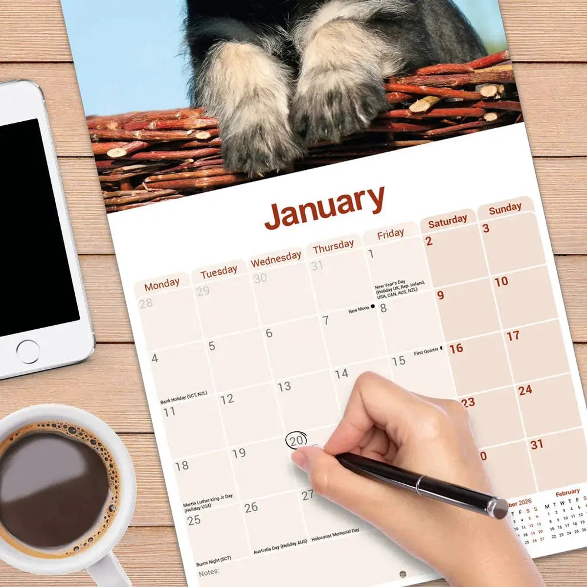 Schnauzer Kalender 2027