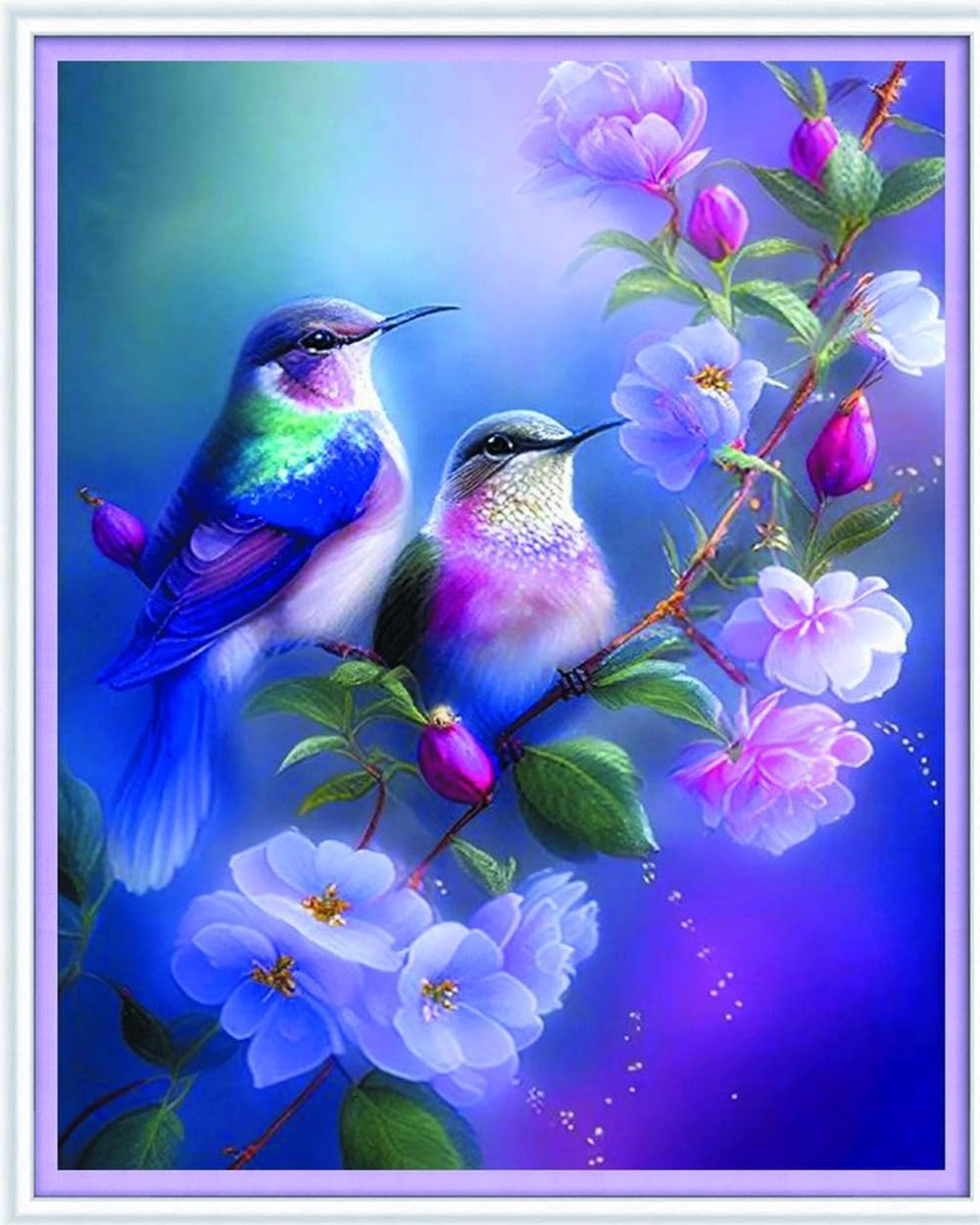 Cross Stitch Kits 11 Count Stamped, Borduurset met Accessoires, Vooraf Geprint (40x50cm) - Vogels, Creatief Hobbyproject, Handwerken