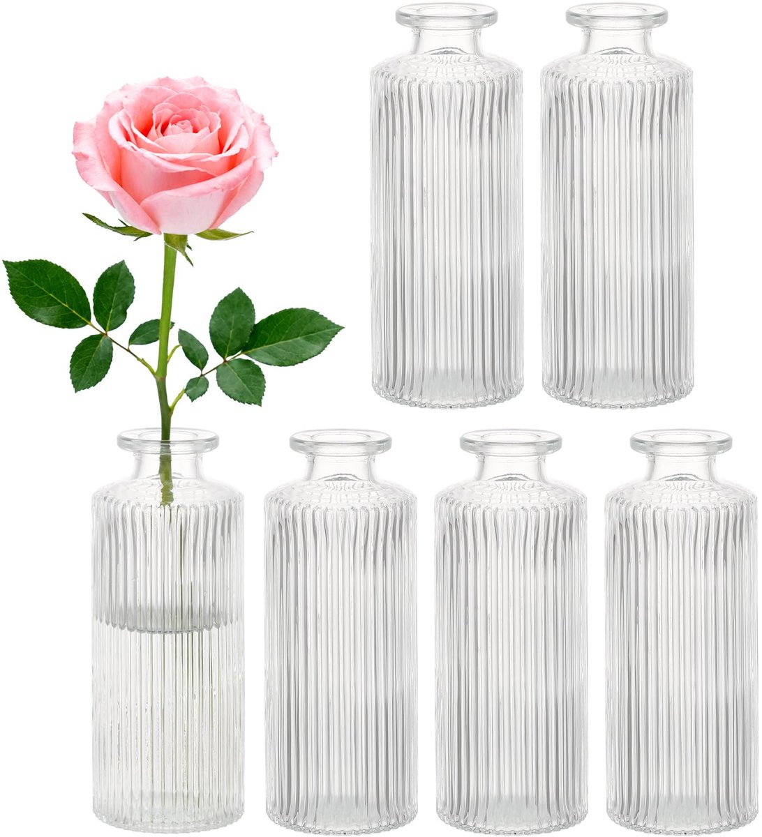 SnelShoppen - 6 Stuks Mini Glazen Vazen, Transparante Bloemenvaas voor Woonkamer, Eettafel, Bruiloft, Kleine Bloemen Vazen, Verticaal Gebruik