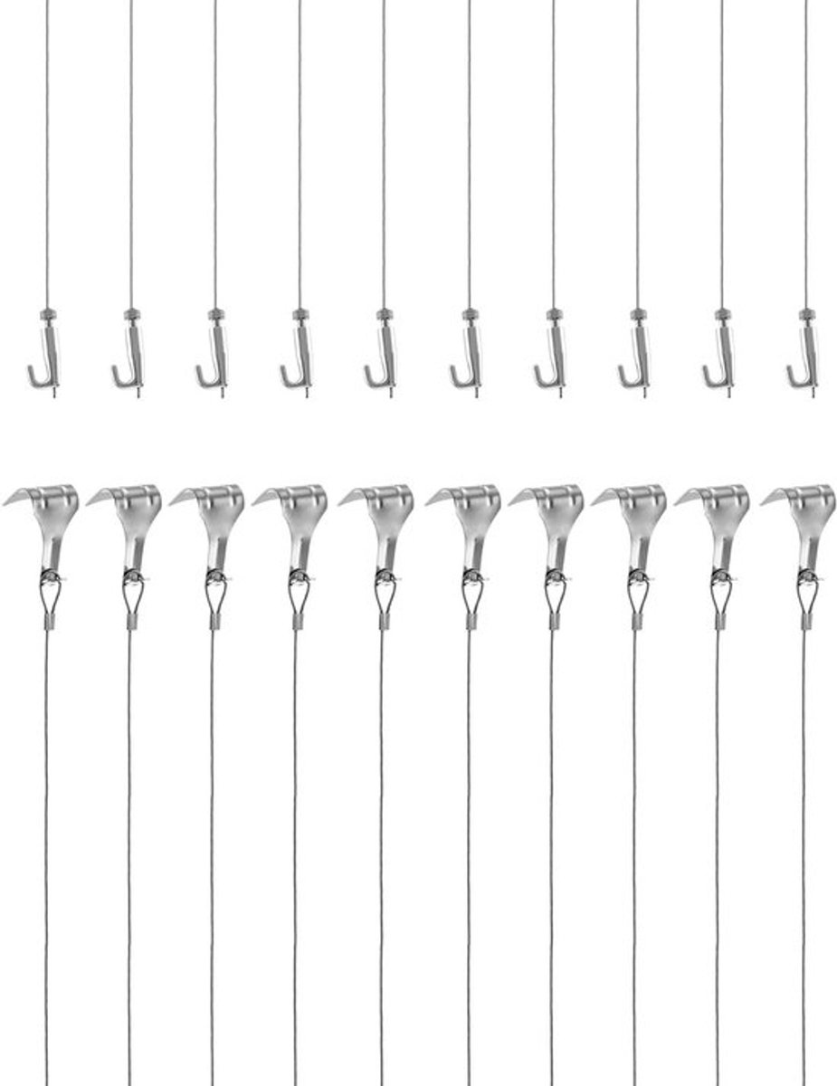Hangset voor Foto's van RVS, 2 m ×Φ1.5 mm, Verstelbare Haak en Rail, Stevige Draad, Tot 40 Kg (10 Stuks)