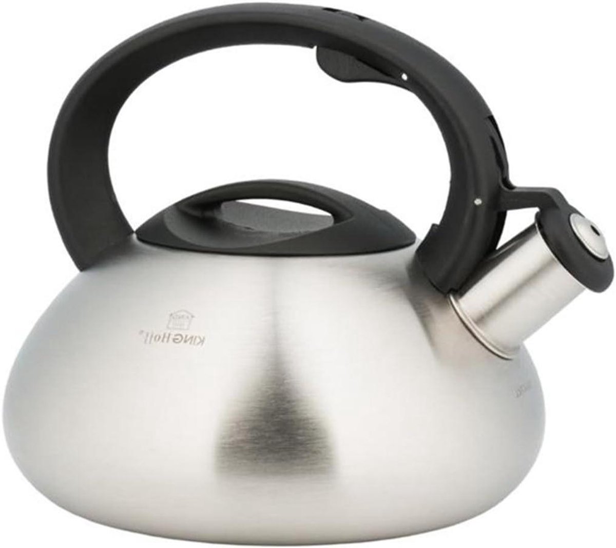 Waterkoker - Theepot RVS - Water Koken - Fluitketel Functie - 22 Liter - Zilver