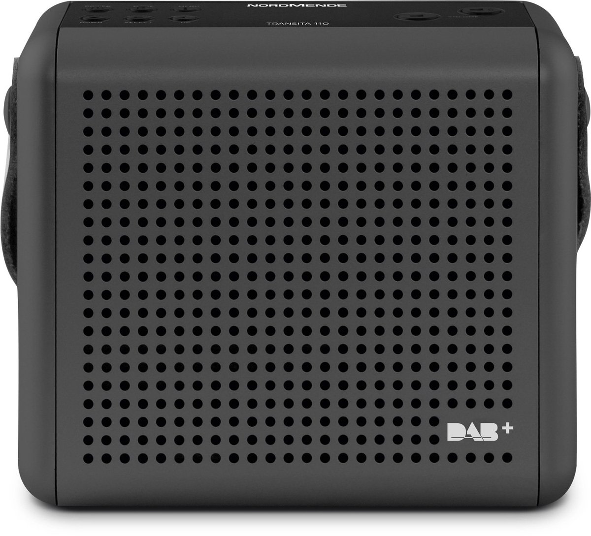 SnelShoppen - Draagbare DAB+ & FM Digitale Radio met OLED-display, Outdoor Muziekbox met Draaggreep en Klok voor Camping, Strand, Tuin en Feest