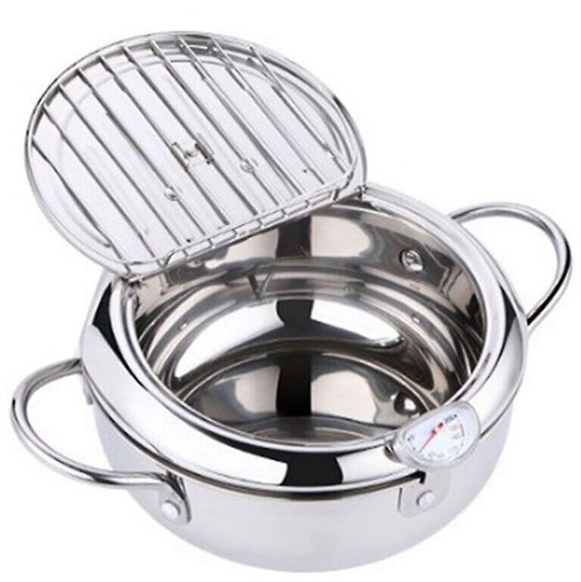 Roestvrijstalen friteuse – Friteuse met temperatuurregeling