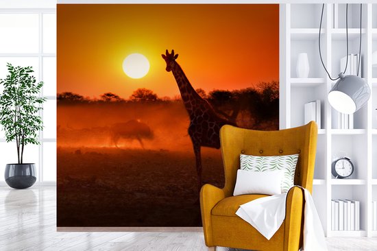 Behang - Fotobehang Giraffe - Zon - Savanne - Breedte 350 cm x hoogte 350 cm