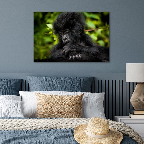 Affiche Gros plan jeune gorille - 60x40 cm