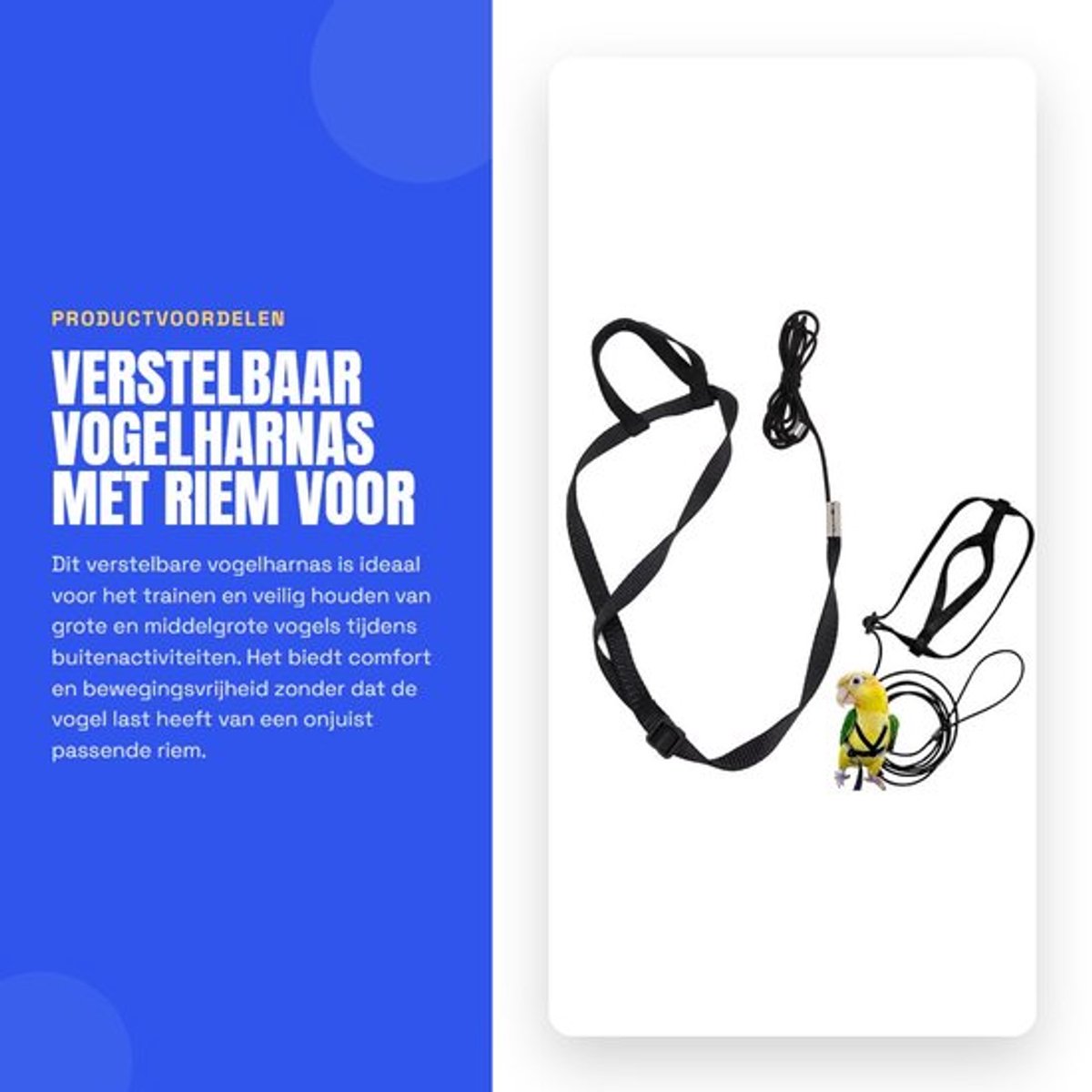 Vogelharnas Verstelbaar - Riem voor Papegaaien - Buiten Trainingstouw - Geschikt voor Valkparkiet/Ara - Lichtgewicht Nylon - Metalen Gesp - Vogelriem