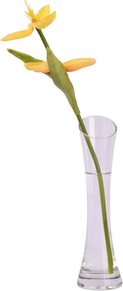 Vaas 20 cm hoog - glazen vaas met handvat - modern en smal - perfect voor bloemdecoratie - ShopVlot