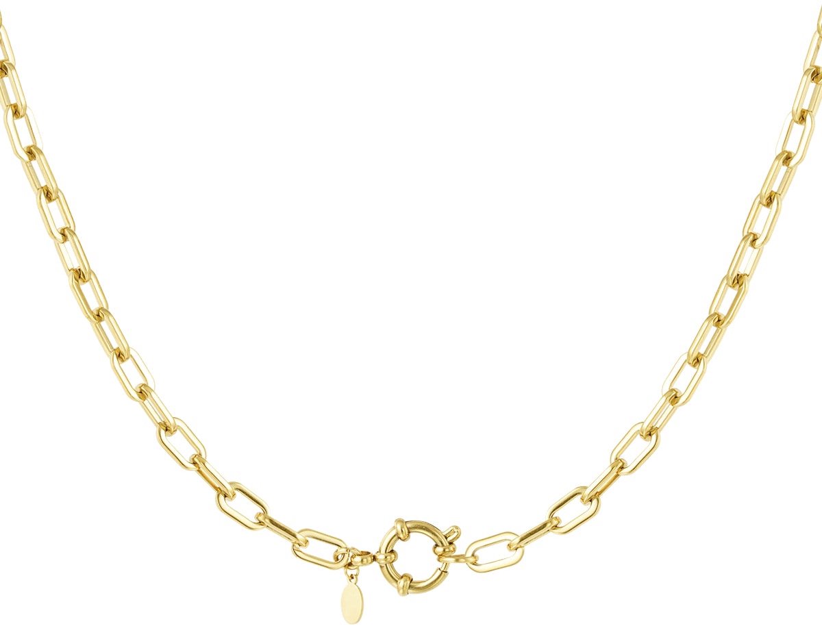 Basic Schakels - Ketting - Stainless Steel - - Goud