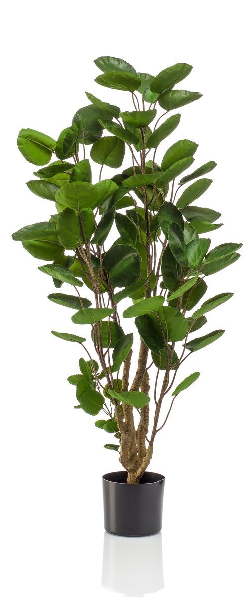 Emerald Kunstboom Polyscias 105cm - Kunstplant voor binnen Groen