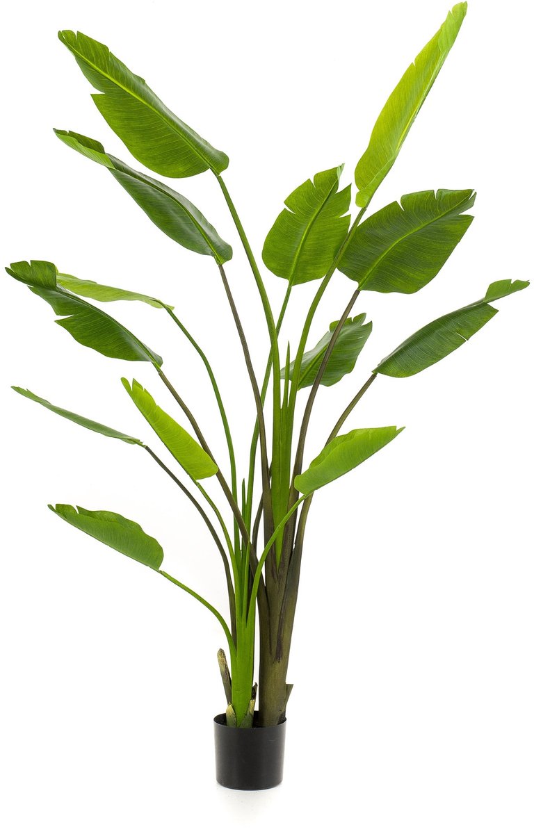 Emerald Kunstplant Strelitzia Nicolai 180cm - Kunstplant voor binnen Groen