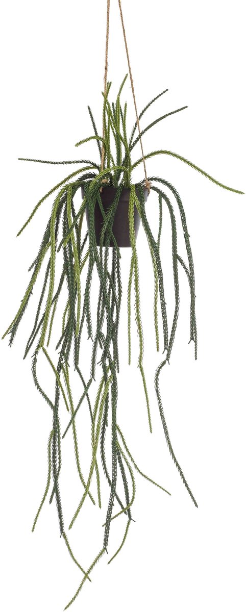 Emerald Kunst Hangplant in pot Rhypsalis 85cm - Kunstplant voor binnen Groen
